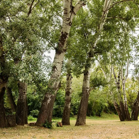 Lenapartman - Dakota Διαμέρισμα Πετς